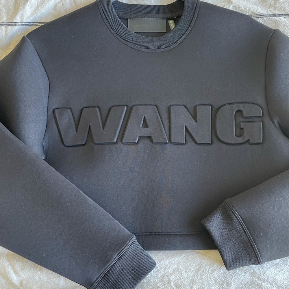 Alexander Wang X H&M rare cropped sweatshirt